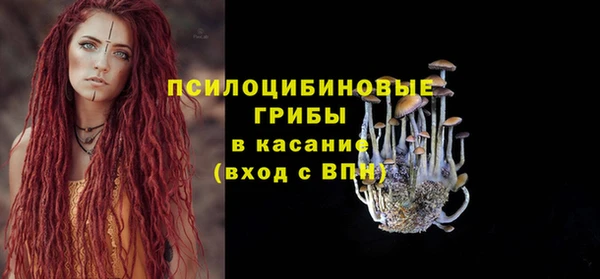 дживик Волосово