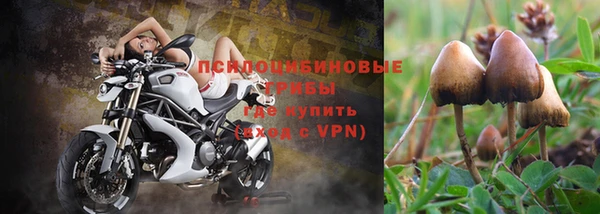 дживик Волосово